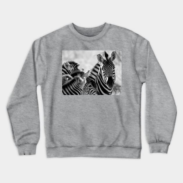 Zebra print, monochrome Crewneck Sweatshirt by brians101